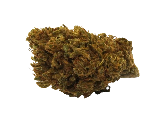 Fleur de CBD Jack Herer