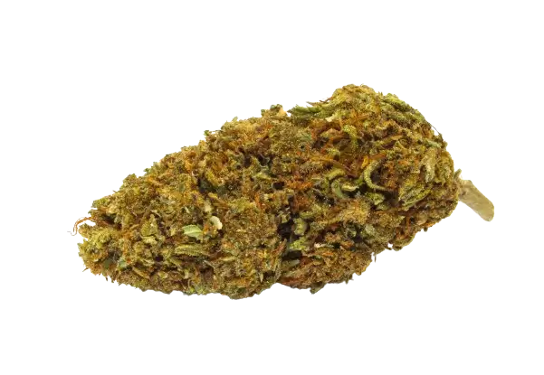 Fleur de CBD NEW YORK DIESEL